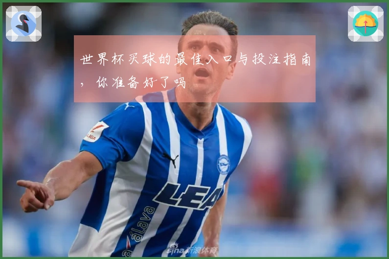 世界杯买球的最佳入口与投注指南，你准备好了吗