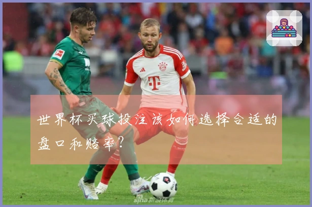 世界杯买球投注该如何选择合适的盘口和赔率？