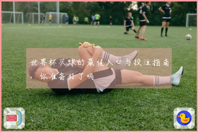 世界杯买球的最佳入口与投注指南，你准备好了吗